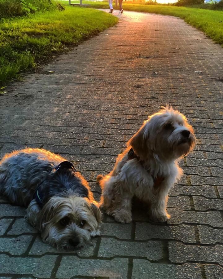 Homeflair Niederkassel Bagian luar foto