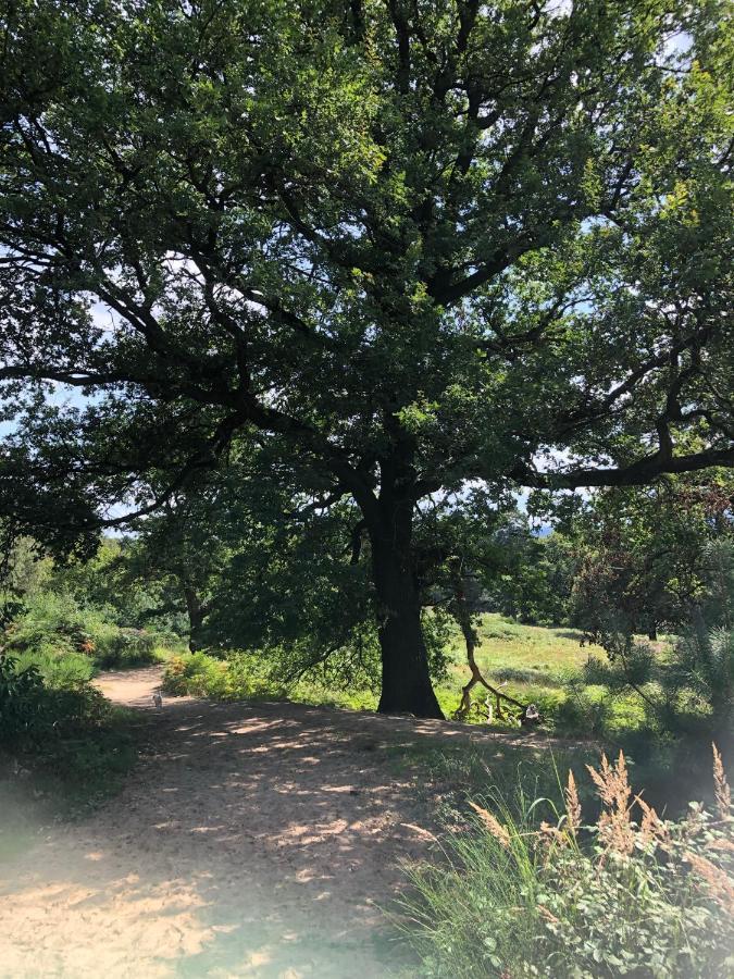 Homeflair Niederkassel Bagian luar foto