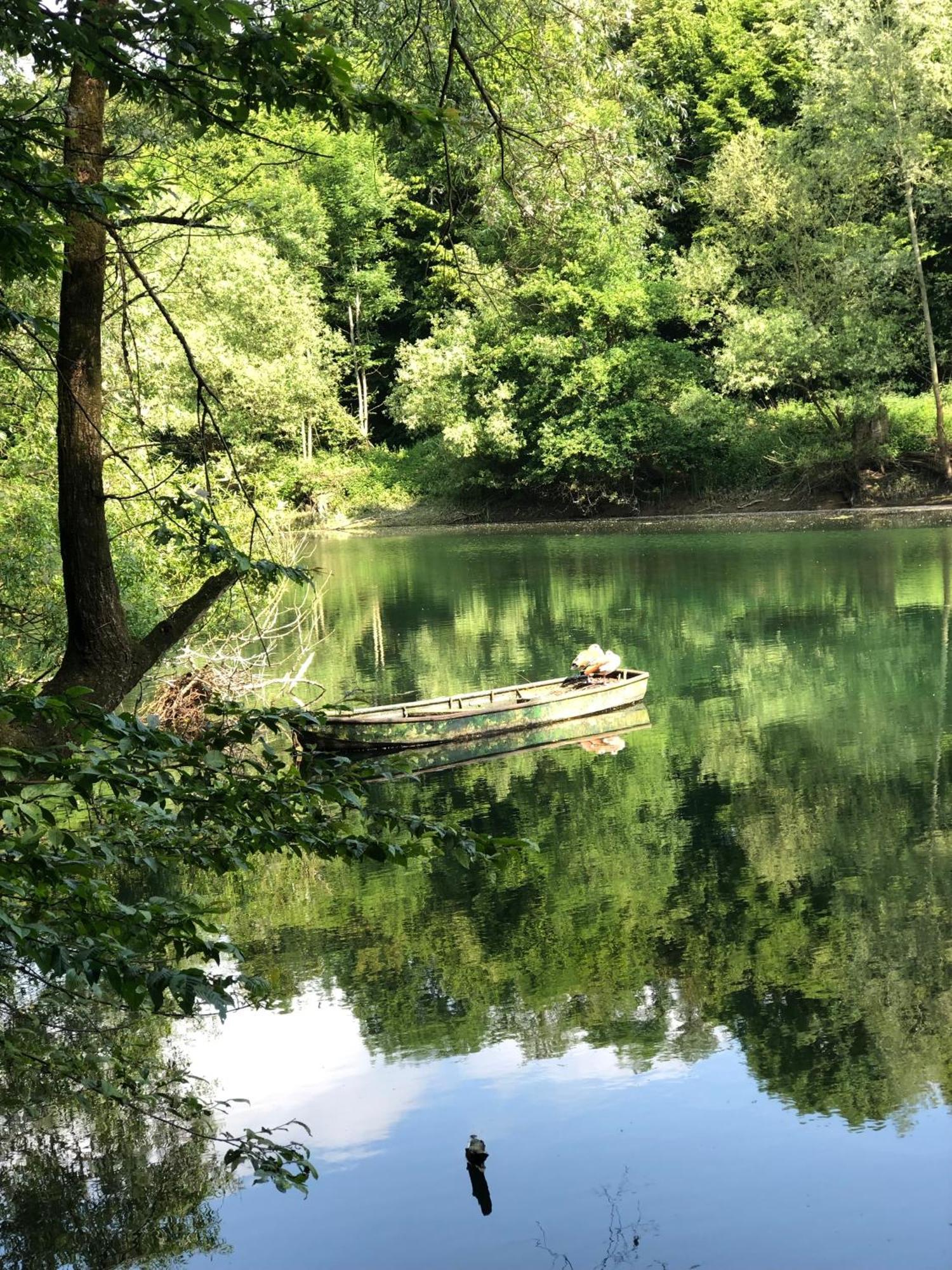 Homeflair Niederkassel Bagian luar foto