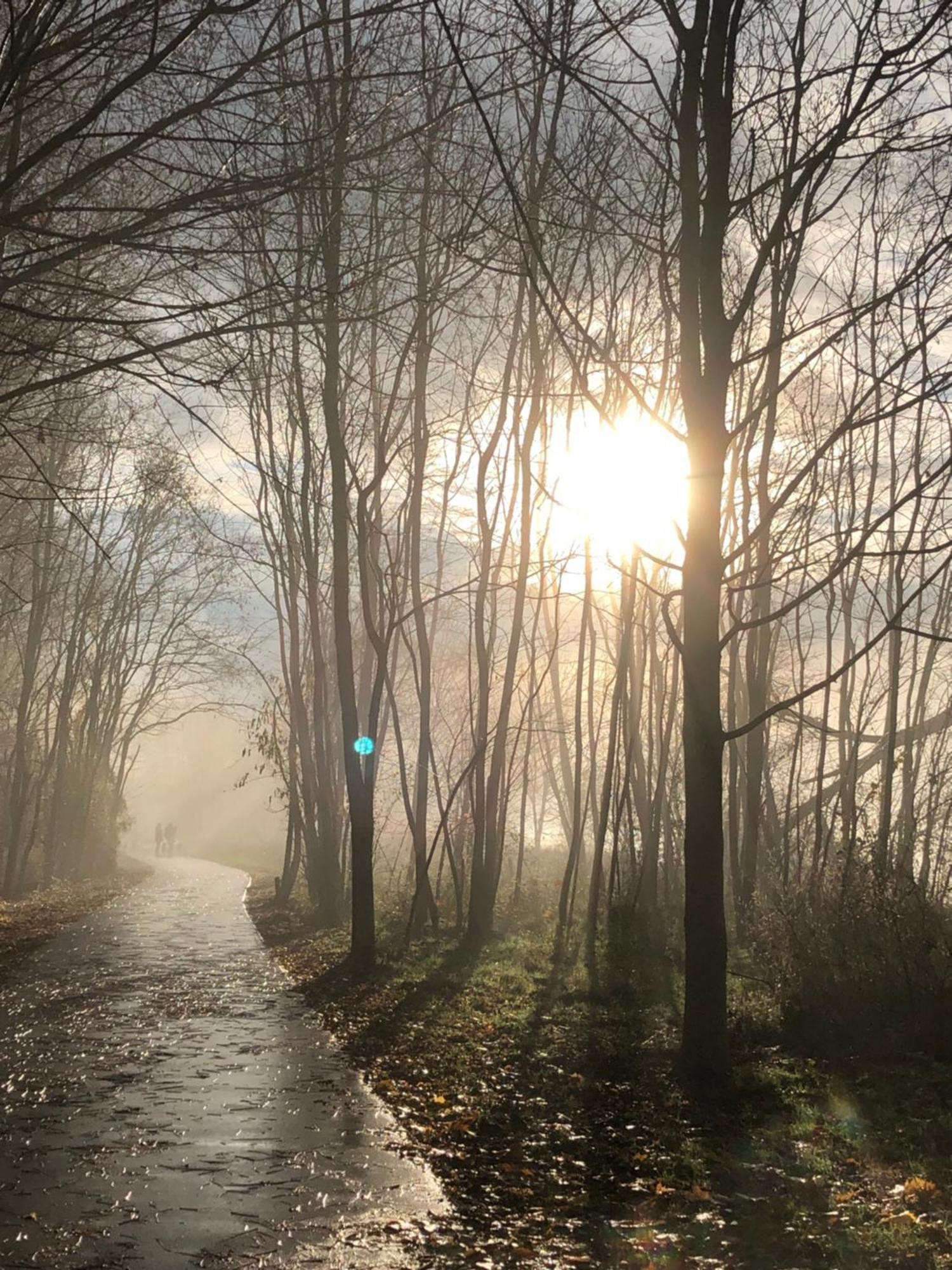 Homeflair Niederkassel Bagian luar foto